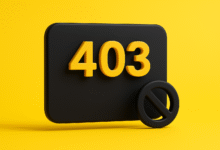 403 forbidden hatasi nedir