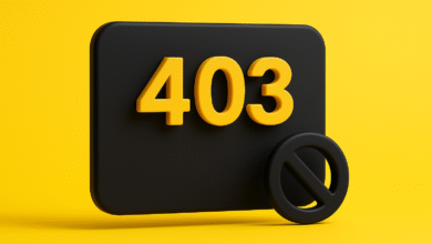403 forbidden hatasi nedir